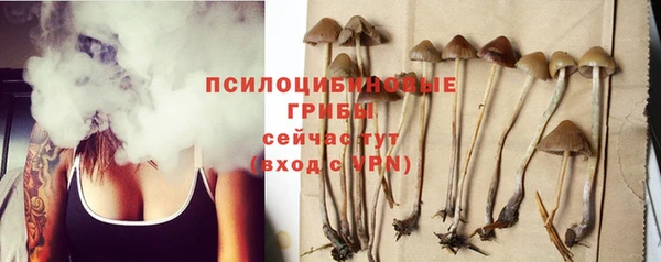 гашиш Белокуриха