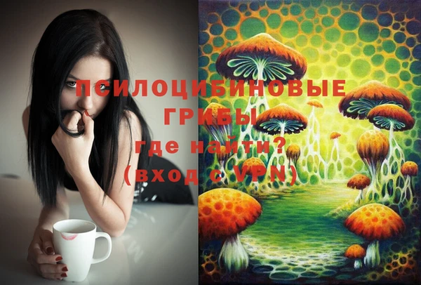 гашиш Белокуриха