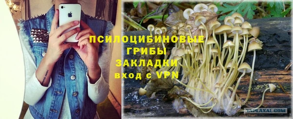 гашиш Белокуриха