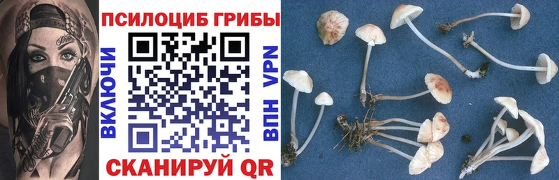 Галлюциногенные грибы мицелий  Волосово 